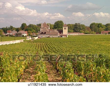 Stock Photography -  France, Vougeot, Burgundy, Cote de Nuits, Cote d'Or, Europe, Burgundy Wine Region, Clos Vougeot, winery, vineyards. Fotosearch