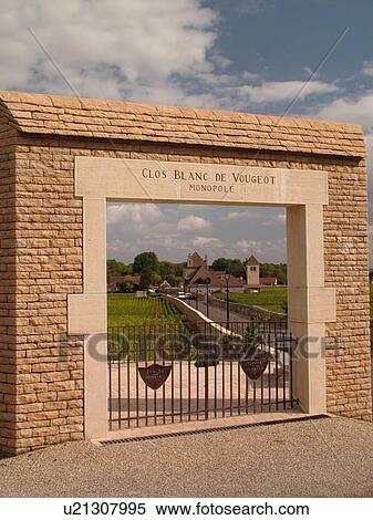 Stock Photography -  France, Vougeot, Burgundy, Cote de Nuits, Cote d'Or, Europe, Burgundy Wine Region, Clos Blanc de Vougeot, winery, vineyards. Fotosearch