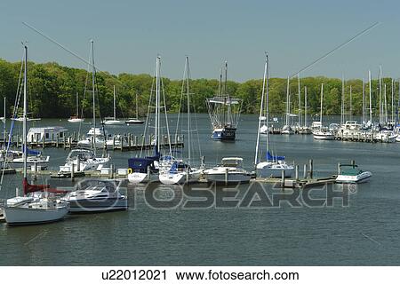 Georgetown, MD, Maryland, Chesapeake Bay, Sassafras River, marina View Large Photo Image Stock Image - Georgetown, MD, Maryland, Chesapeake Bay, Sassafras River, marina. Fotosearch