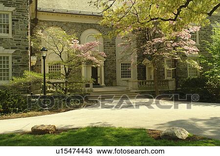 Haverford, PA, Pennsylvania, Haverford College, Ryan Gymnasium, campus View Large Photo Image Stock Image - Haverford, PA, Pennsylvania, Haverford College, Ryan Gymnasium, campus. Fotosearch