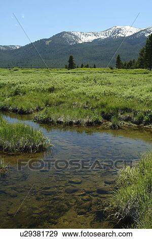 ID, Idaho, Sawtooth National Recreation Area, Sawtooth National Forest, Sawtooth Valley, Salmon River, Sawtooth Range View Large Photo Image Stock Photo - ID, Idaho, Sawtooth National Recreation Area, Sawtooth National Forest, Sawtooth Valley, Salmon River, Sawtooth Range. Fotosearch