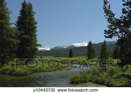 ID, Idaho, Sawtooth National Recreation Area, Sawtooth National Forest, Sawtooth Valley, Salmon River, Sawtooth Range View Large Photo Image Stock Photography - ID, Idaho, Sawtooth National Recreation Area, Sawtooth National Forest, Sawtooth Valley, Salmon River, Sawtooth Range. Fotosearch