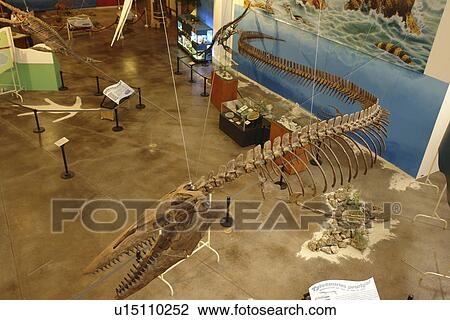 Stock Image -  Idaho Falls, ID, Idaho, The Museum of Idaho. Fotosearch
