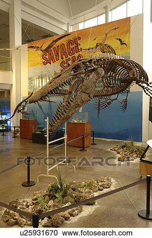 Stock Image -  Idaho Falls, ID, Idaho, The Museum of Idaho. Fotosearch