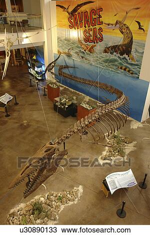 Stock Image -  Idaho Falls, ID, Idaho, The Museum of Idaho. Fotosearch