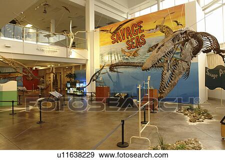 Stock Photo -  Idaho Falls, ID, Idaho, The Museum of Idaho. Fotosearch