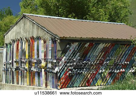 Stock Image -  Ketchum, Sun Valley, ID, Idaho, outside of shed aligned with a collection of downhill skis. Fotosearch