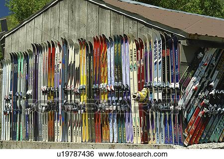 Ketchum, Sun Valley, ID, Idaho, outside of shed aligned with a collection of downhill skis View Large Photo Image Stock Photograph - Ketchum, Sun Valley, ID, Idaho, outside of shed aligned with a collection of downhill skis. Fotosearch