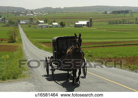 Picture -  Lancaster County, PA, Pennsylvania, Amish, horse and buggy. Fotosearch