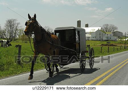 Stock Image -  Lancaster County, PA, Pennsylvania, Amish, horse and buggy. Fotosearch