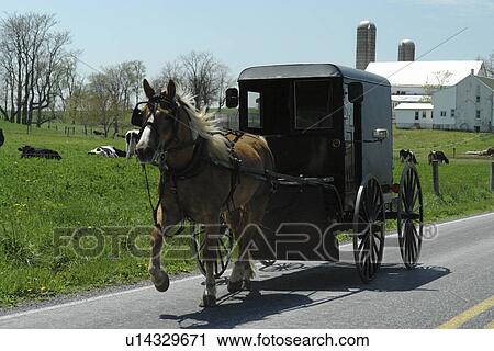 Stock Image -  Lancaster County, PA, Pennsylvania, Amish, horse and buggy. Fotosearch