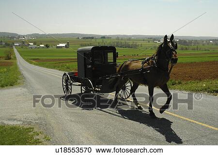 Lancaster County, PA, Pennsylvania, Amish, horse and buggy View Large Photo Image Stock Image - Lancaster County, PA, Pennsylvania, Amish, horse and buggy. Fotosearch