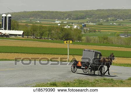 Stock Image -  Lancaster County, PA, Pennsylvania, Amish, horse and buggy. Fotosearch