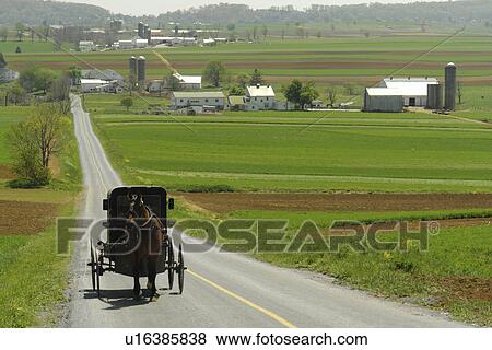 Stock Photo -  Lancaster County, PA, Pennsylvania, Amish, horse and buggy. Fotosearch