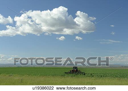 Stock Image -  Lincoln County, ID, Idaho, farm equipment, farming, field, cultivating, plowing. Fotosearch