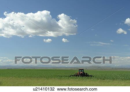 Lincoln County, ID, Idaho, farm equipment, farming, field, cultivating, plowing View Large Photo Image Stock Image - Lincoln County, ID, Idaho, farm equipment, farming, field, cultivating, plowing. Fotosearch