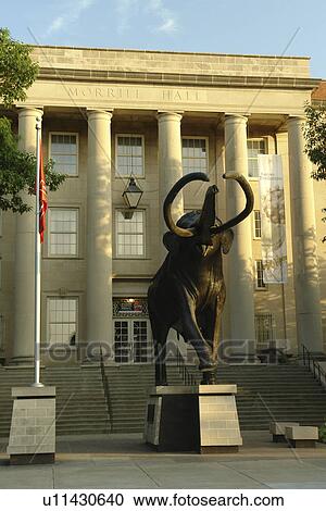 Lincoln, NE, Nebraska, Morrill Hall, University of Nebraska State Museum View Large Photo Image Stock Image - Lincoln, NE, Nebraska, Morrill Hall, University of Nebraska State Museum. Fotosearch
