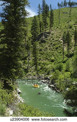 Lowman, ID, Idaho, Boise National Forest, Ponderosa Pine Scenic Byway, Sawtooth Range, South Fork Payette River, whitewater rafting View Large Photo Image Stock Photograph - Lowman, ID, Idaho, Boise National Forest, Ponderosa Pine Scenic Byway, Sawtooth Range, South Fork Payette River, whitewater rafting. Fotosearch