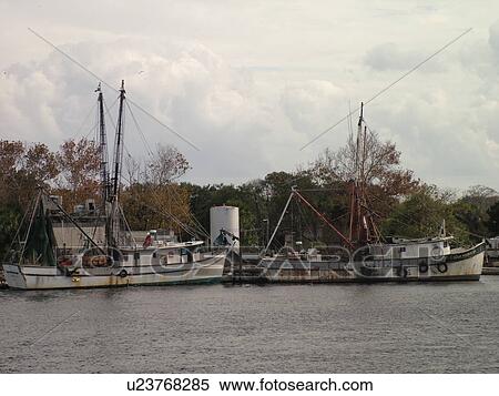 Mayport, FL, Florida, Atlantic Ocean, St. Johns River, old fishing boats View Large Photo Image Stock Photography - Mayport, FL, Florida, Atlantic Ocean, St. Johns River, old fishing boats. Fotosearch