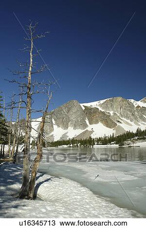 Stock Image -  Medicine Bow National Forest, WY, Wyoming, Snowy Range Scenic Byway, Alpine Lake, Mirror Lake. Fotosearch