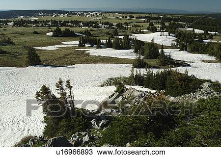 Medicine Bow National Forest, WY, Wyoming, Snowy Range Pass, Snowy Range Scenic Byway View Large Photo Image Stock Image - Medicine Bow National Forest, WY, Wyoming, Snowy Range Pass, Snowy Range Scenic Byway. Fotosearch