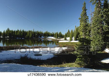 Stock Image -  Medicine Bow National Forest, WY, Wyoming, Snowy Range Pass, Snowy Range Scenic Byway. Fotosearch