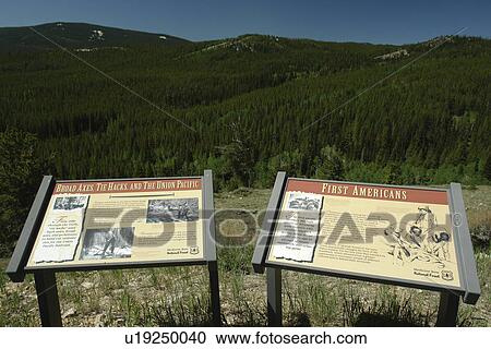 Stock Image -  Medicine Bow National Forest, WY, Wyoming, Continental Divide, Battle Pass. Fotosearch