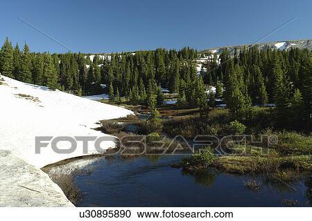 Medicine Bow National Forest, WY, Wyoming, Snowy Range Pass, Snowy Range Scenic Byway View Large Photo Image Stock Image - Medicine Bow National Forest, WY, Wyoming, Snowy Range Pass, Snowy Range Scenic Byway. Fotosearch
