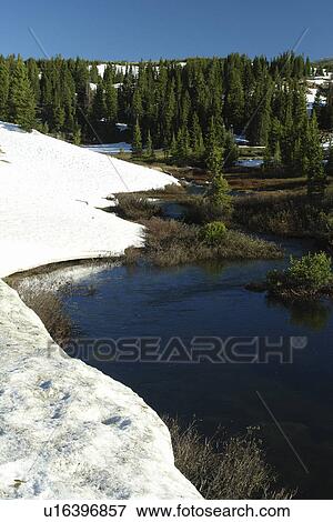 Medicine Bow National Forest, WY, Wyoming, Snowy Range Pass, Snowy Range Scenic Byway View Large Photo Image Stock Photo - Medicine Bow National Forest, WY, Wyoming, Snowy Range Pass, Snowy Range Scenic Byway. Fotosearch