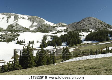 Stock Photo -  Medicine Bow National Forest, WY, Wyoming, Snowy Range Pass, Snowy Range Scenic Byway. Fotosearch