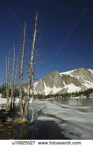 Stock Photo -  Medicine Bow National Forest, WY, Wyoming, Snowy Range Scenic Byway, Alpine Lake, Mirror Lake. Fotosearch