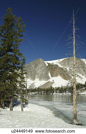 Medicine Bow National Forest, WY, Wyoming, Snowy Range Scenic Byway, Alpine Lake, Mirror Lake View Large Photo Image Stock Photo - Medicine Bow National Forest, WY, Wyoming, Snowy Range Scenic Byway, Alpine Lake, Mirror Lake. Fotosearch