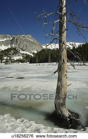 Stock Photograph -  Medicine Bow National Forest, WY, Wyoming, Snowy Range Scenic Byway, Alpine Lake, Mirror Lake. Fotosearch