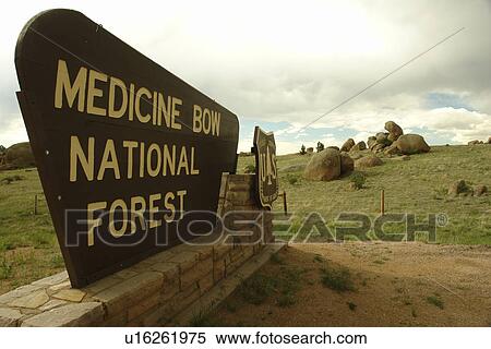 Stock Photography -  Medicine Bow National Forest, WY, Wyoming, Land of Many Uses. Fotosearch