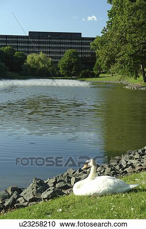 Stock Image -  Moline, IL, Illinois, Quad Cities, John Deere Worldwide Headquarters. Fotosearch