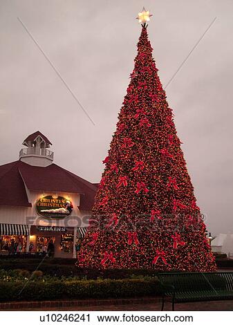 Myrtle Beach, SC, South Carolina, The Grand Strand, Broadway at the Beach, evening, Christmas tree View Large Photo Image Stock Image - Myrtle Beach, SC, South Carolina, The Grand Strand, Broadway at the Beach, evening, Christmas tree. Fotosearch