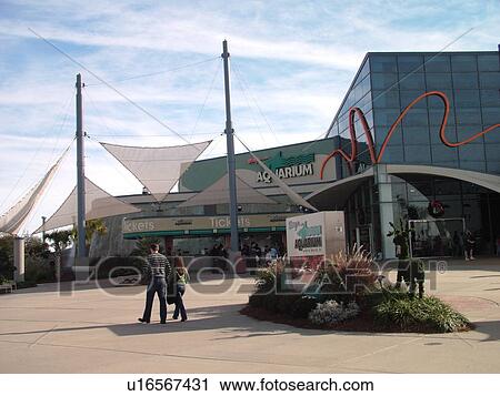Myrtle Beach, SC, South Carolina, The Grand Strand, Broadway at the Beach, Ripley's Aquarium View Large Photo Image Stock Image - Myrtle Beach, SC, South Carolina, The Grand Strand, Broadway at the Beach, Ripley's Aquarium. Fotosearch