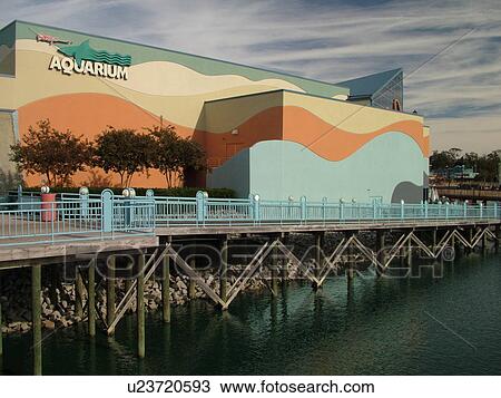 Myrtle Beach, SC, South Carolina, The Grand Strand, Broadway at the Beach, Ripley's Aquarium View Large Photo Image Stock Image - Myrtle Beach, SC, South Carolina, The Grand Strand, Broadway at the Beach, Ripley's Aquarium. Fotosearch