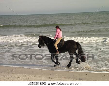 Myrtle Beach, SC, South Carolina, The Grand Strand, Atlantic Ocean, Woman riding horse on beach View Large Photo Image Stock Image - Myrtle Beach, SC, South Carolina, The Grand Strand, Atlantic Ocean, Woman riding horse on beach. Fotosearch