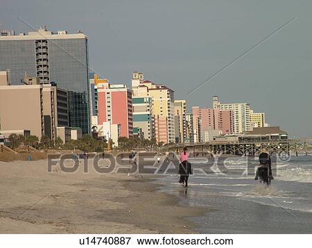 Myrtle Beach, SC, South Carolina, The Grand Strand, Atlantic Ocean, skyline, Couple riding horses on beach View Large Photo Image Stock Photo - Myrtle Beach, SC, South Carolina, The Grand Strand, Atlantic Ocean, skyline, Couple riding horses on beach. Fotosearch