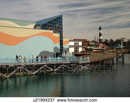 Myrtle Beach, SC, South Carolina, The Grand Strand, Broadway at the Beach, Ripley's Aquarium View Large Photo Image Stock Photo - Myrtle Beach, SC, South Carolina, The Grand Strand, Broadway at the Beach, Ripley's Aquarium. Fotosearch