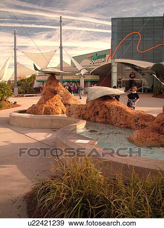 Stock Photo -  Myrtle Beach, SC, South Carolina, The Grand Strand, Broadway at the Beach, Ripley's Aquarium. Fotosearch