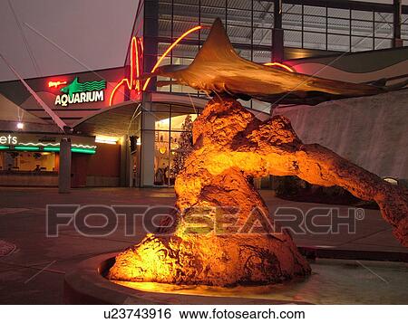 Myrtle Beach, SC, South Carolina, The Grand Strand, Broadway at the Beach, evening, Ripley's Aquarium View Large Photo Image Stock Photograph - Myrtle Beach, SC, South Carolina, The Grand Strand, Broadway at the Beach, evening, Ripley's Aquarium. Fotosearch
