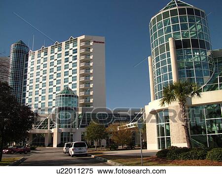 Myrtle Beach, SC, South Carolina, The Grand Strand, South Carolina Hall of Fame, Myrtle Beach Convention Center View Large Photo Image Stock Photography - Myrtle Beach, SC, South Carolina, The Grand Strand, South Carolina Hall of Fame, Myrtle Beach Convention Center. Fotosearch