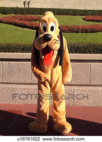 Orlando, FL, Florida, Walt Disney World Resort, Magic Kingdom Park, Pluto (Editorial Use Only) View Large Photo Image Stock Image - Orlando, FL, Florida, Walt Disney World Resort, Magic Kingdom Park, Pluto (Editorial Use Only). Fotosearch