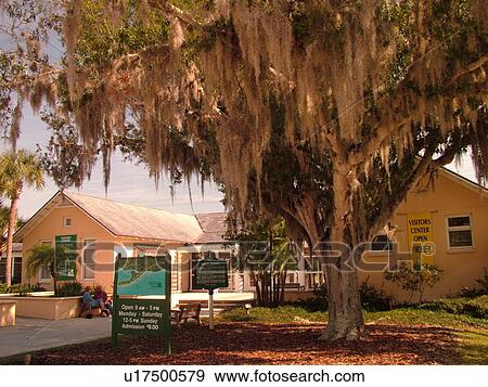 Osprey, FL, Florida, Historic Spanish Point, Visitors Center, Osprey School, tree, Spanish moss View Large Photo Image Stock Photo - Osprey, FL, Florida, Historic Spanish Point, Visitors Center, Osprey School, tree, Spanish moss. Fotosearch
