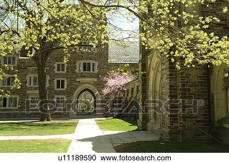 Princeton, NJ, New Jersey, Princeton University, Madison Hall, Holder Courtyard View Large Photo Image Stock Image - Princeton, NJ, New Jersey, Princeton University, Madison Hall, Holder Courtyard. Fotosearch