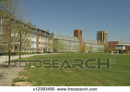 Princeton, NJ, New Jersey, Princeton University, campus View Large Photo Image Stock Image - Princeton, NJ, New Jersey, Princeton University, campus. Fotosearch