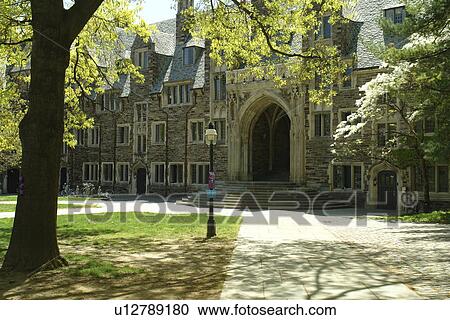 Princeton, NJ, New Jersey, Princeton University, Lockhart View Large Photo Image Stock Image - Princeton, NJ, New Jersey, Princeton University, Lockhart. Fotosearch