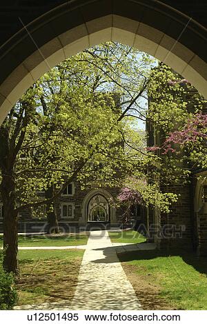 Princeton, NJ, New Jersey, Princeton University, Madison Hall, Holder Courtyard, archway View Large Photo Image Stock Photography - Princeton, NJ, New Jersey, Princeton University, Madison Hall, Holder Courtyard, archway . Fotosearch